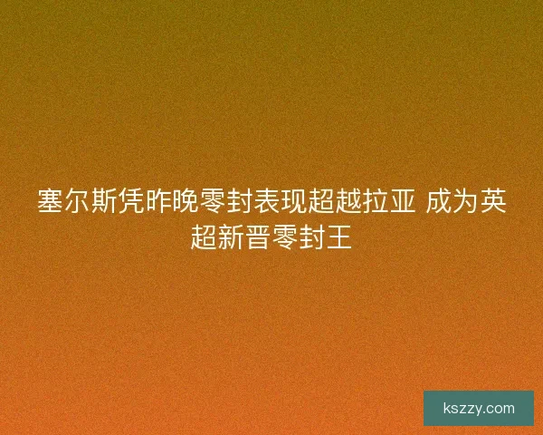 塞尔斯凭昨晚零封表现超越拉亚 成为英超新晋零封王