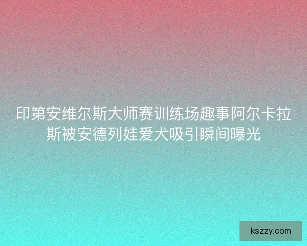 印第安维尔斯大师赛训练场趣事阿尔卡拉斯被安德列娃爱犬吸引瞬间曝光