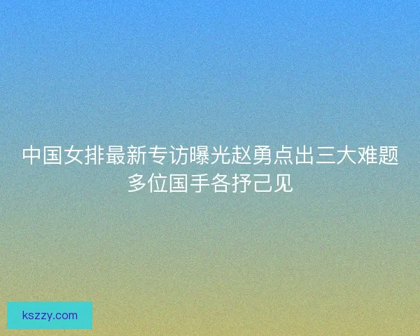 中国女排最新专访曝光赵勇点出三大难题多位国手各抒己见